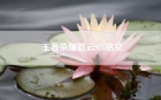 王者荣耀赵云S28铭文