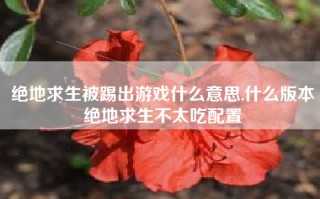 绝地求生被踢出游戏什么意思,什么版本绝地求生不太吃配置