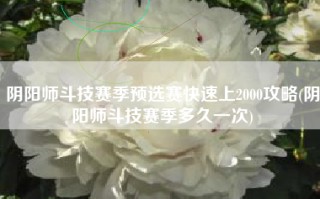 阴阳师斗技赛季预选赛快速上2000攻略(阴阳师斗技赛季多久一次)