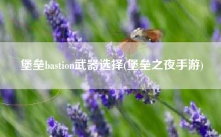 堡垒bastion武器选择(堡垒之夜手游)
