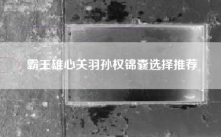 霸王雄心关羽孙权锦囊选择推荐