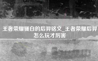 王者荣耀骚白的后羿铭文_王者荣耀后羿怎么玩才厉害