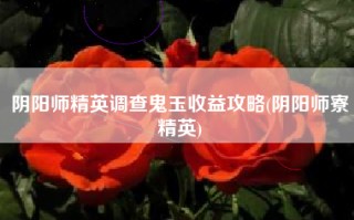 阴阳师精英调查鬼玉收益攻略(阴阳师寮精英)