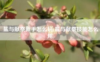 盐与献祭新手怎么玩(盐与献祭技能怎么用)