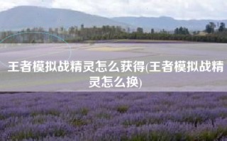王者模拟战精灵怎么获得(王者模拟战精灵怎么换)