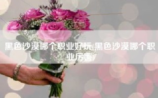 黑色沙漠哪个职业好玩(黑色沙漠哪个职业厉害)