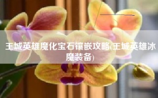 王城英雄魔化宝石镶嵌攻略(王城英雄冰魔装备)