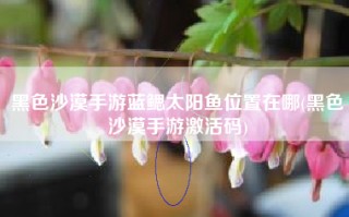 黑色沙漠手游蓝鳃太阳鱼位置在哪(黑色沙漠手游激活码)