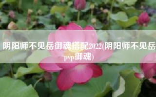 阴阳师不见岳御魂搭配2022(阴阳师不见岳pvp御魂)