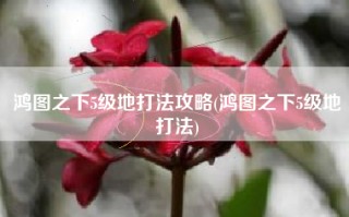 鸿图之下5级地打法攻略(鸿图之下5级地打法)