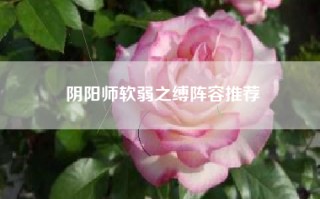 阴阳师软弱之缚阵容推荐