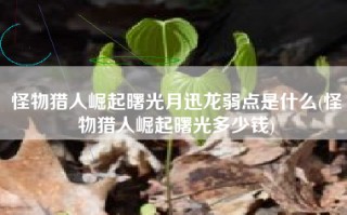 怪物猎人崛起曙光月迅龙弱点是什么(怪物猎人崛起曙光多少钱)