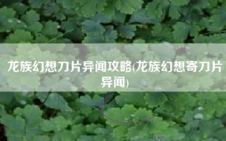 龙族幻想刀片异闻攻略(龙族幻想寄刀片异闻)