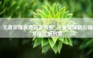 王者荣耀裴奇铭文搭配_王者荣耀赵云铭文搭配最厉害