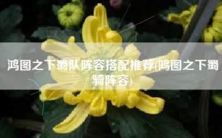 鸿图之下蜀队阵容搭配推荐(鸿图之下蜀骑阵容)