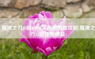 魔渊之刃35层BOSS依吉尔困难攻略(魔渊之刃35层任务道具)