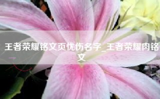 王者荣耀铭文页忧伤名字_王者荣耀肉铭文