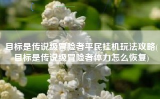 目标是传说级冒险者平民挂机玩法攻略(目标是传说级冒险者体力怎么恢复)