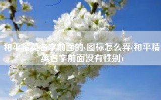 和平精英名字前面的v图标怎么弄(和平精英名字前面没有性别)