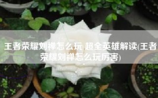 王者荣耀刘禅怎么玩 超全英雄解读(王者荣耀刘禅怎么玩厉害)