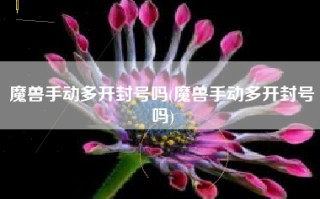 魔兽手动多开封号吗(魔兽手动多开封号吗)