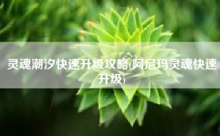 灵魂潮汐快速升级攻略(阿尼玛灵魂快速升级)