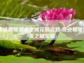 奇迹暖暖猎金之城花销攻略(奇迹暖暖猎金之城宝箱)