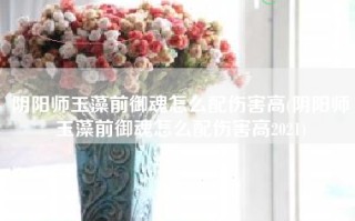 阴阳师玉藻前御魂怎么配伤害高(阴阳师玉藻前御魂怎么配伤害高2021)