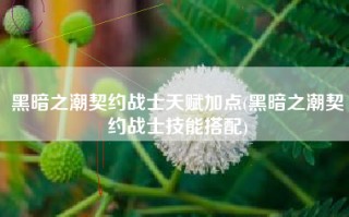 黑暗之潮契约战士天赋加点(黑暗之潮契约战士技能搭配)