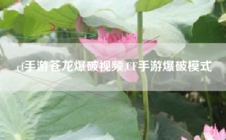 cf手游苍龙爆破视频,CF手游爆破模式