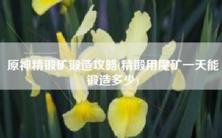 原神精锻矿锻造攻略(精锻用魔矿一天能锻造多少)