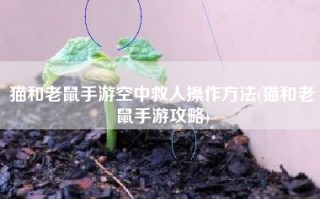 猫和老鼠手游空中救人操作方法(猫和老鼠手游攻略)
