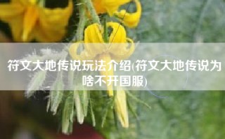 符文大地传说玩法介绍(符文大地传说为啥不开国服)