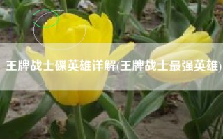 王牌战士碟英雄详解(王牌战士最强英雄)