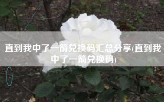 直到我中了一箭兑换码汇总分享(直到我中了一箭兑换码)