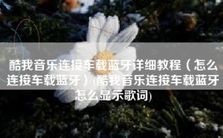 酷我音乐连接车载蓝牙详细教程（怎么连接车载蓝牙）(酷我音乐连接车载蓝牙怎么显示歌词)