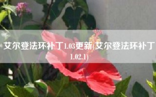 艾尔登法环补丁1.03更新(艾尔登法环补丁1.02.1)