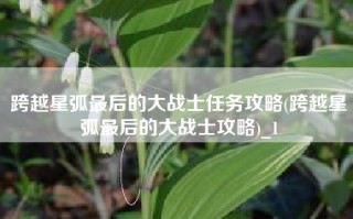 跨越星弧最后的大战士任务攻略(跨越星弧最后的大战士攻略)_1