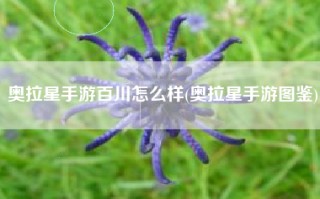 奥拉星手游百川怎么样(奥拉星手游图鉴)