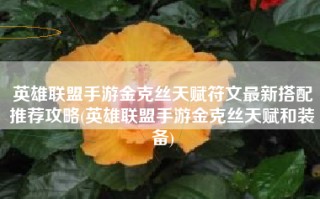 英雄联盟手游金克丝天赋符文最新搭配推荐攻略(英雄联盟手游金克丝天赋和装备)
