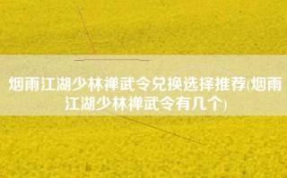 烟雨江湖少林禅武令兑换选择推荐(烟雨江湖少林禅武令有几个)