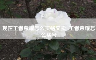 现在王者荣耀怎么买铭文卖_王者荣耀怎么买号