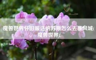 魔兽世界怀旧服达纳苏斯怎么去暴风城(魔兽世界)