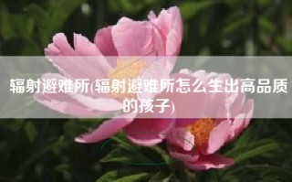 辐射避难所(辐射避难所怎么生出高品质的孩子)