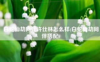 白蛇仙劫同伴许仕林怎么样(白蛇仙劫同伴搭配)