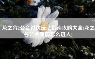 龙之谷2公会讨伐玩法指南攻略大全(龙之谷公会家园怎么进入)