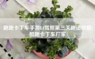 跑跑卡丁车手游L1驾照第三关跑法攻略(酷跑卡丁车厂家)