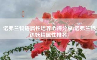 诺弗兰物语属性培养心得分享(诺弗兰物语妖精属性排名)