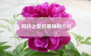 鸣铃之契招募规则介绍