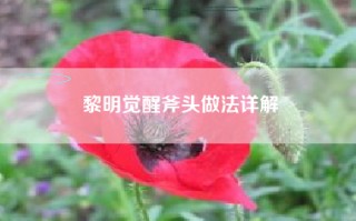 黎明觉醒斧头做法详解